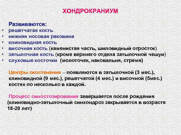 ХОНДРОКРАНИУМ Развиваются: • • • решетчатая кость нижняя носовая раковина клиновидная кость височная кость