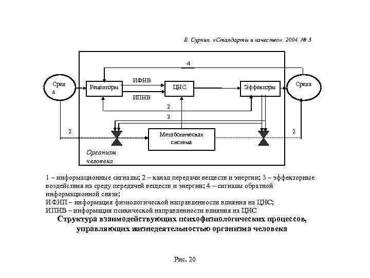 В. Сурнин. «Стандарты и качество» . 2004. № 3 4 Сред а Рецепторы ИФНВ