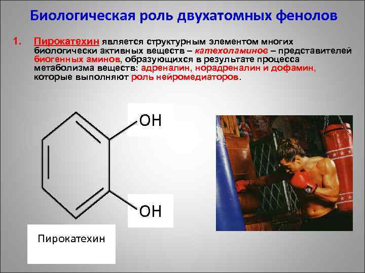 Биологическая роль двухатомных фенолов 1. Пирокатехин является структурным элементом многих биологически активных веществ –