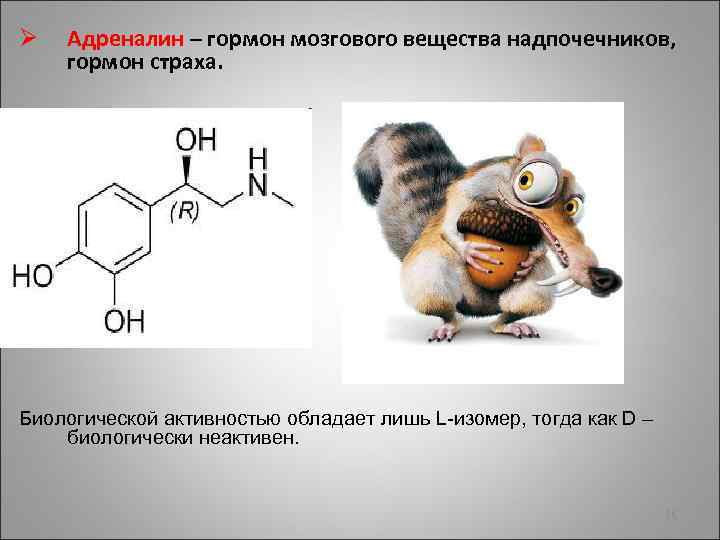 Ø Адреналин – гормон мозгового вещества надпочечников, гормон страха. Ø С Биологической активностью обладает