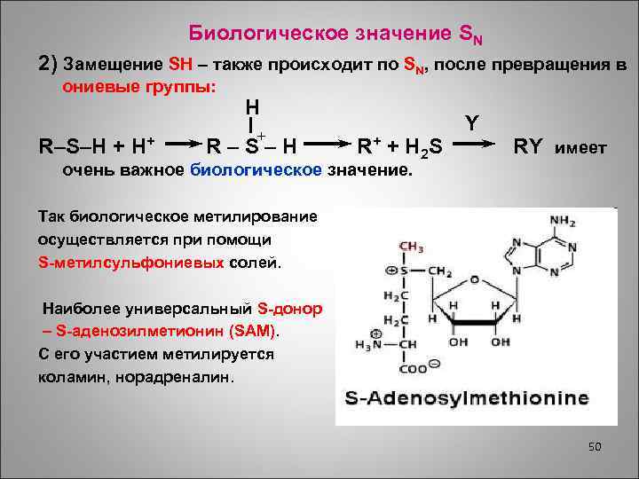 Биологическое значение SN 2) Замещение SH – также происходит по SN, после превращения в