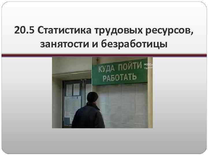 20. 5 Статистика трудовых ресурсов, занятости и безработицы 