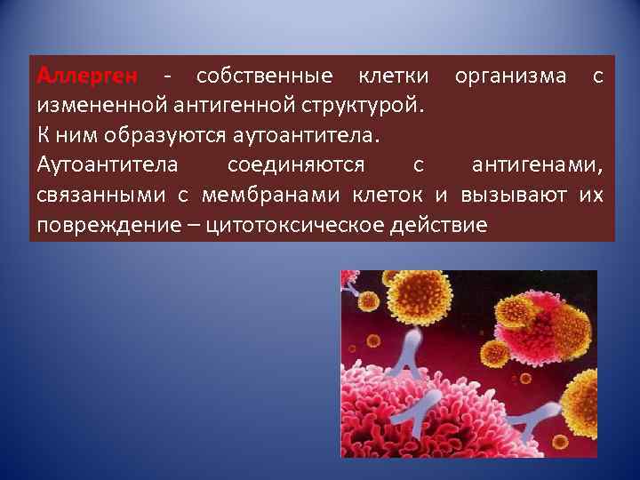 Аллерген - собственные клетки организма с измененной антигенной структурой. К ним образуются аутоантитела. Аутоантитела