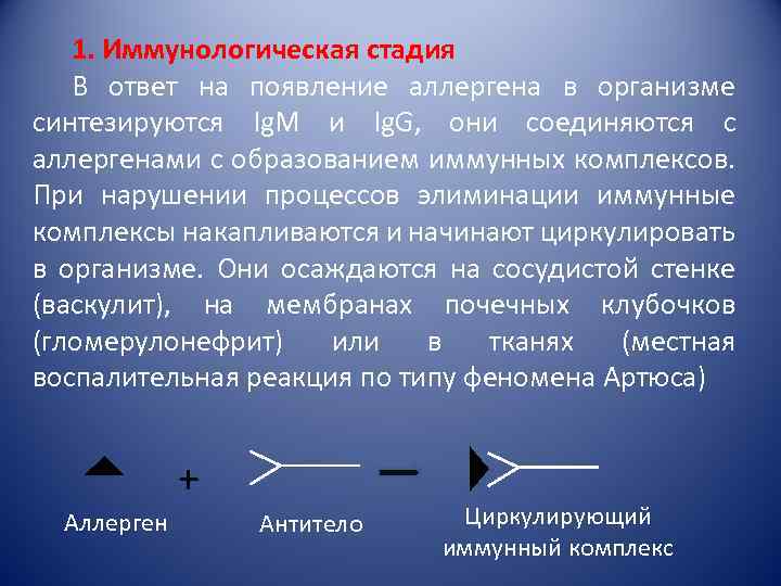 1. Иммунологическая стадия В ответ на появление аллергена в организме синтезируются Ig. M и
