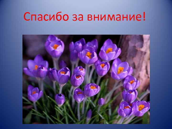 Спасибо за внимание! 