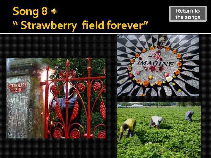 Song 8 “ Strawberry field forever” Return to the songs 