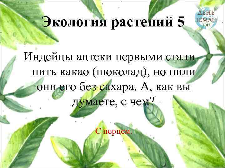 Экология растений 5 Индейцы ацтеки первыми стали пить какао (шоколад), но пили они его