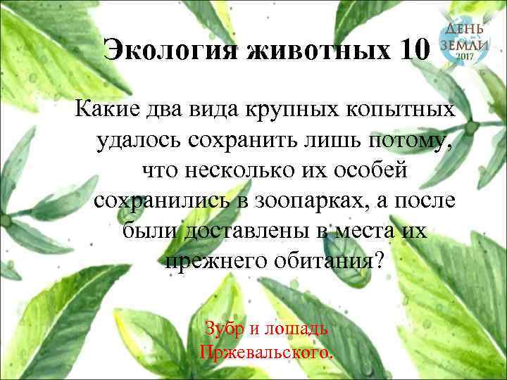 Экология животных 10 Какие два вида крупных копытных удалось сохранить лишь потому, что несколько
