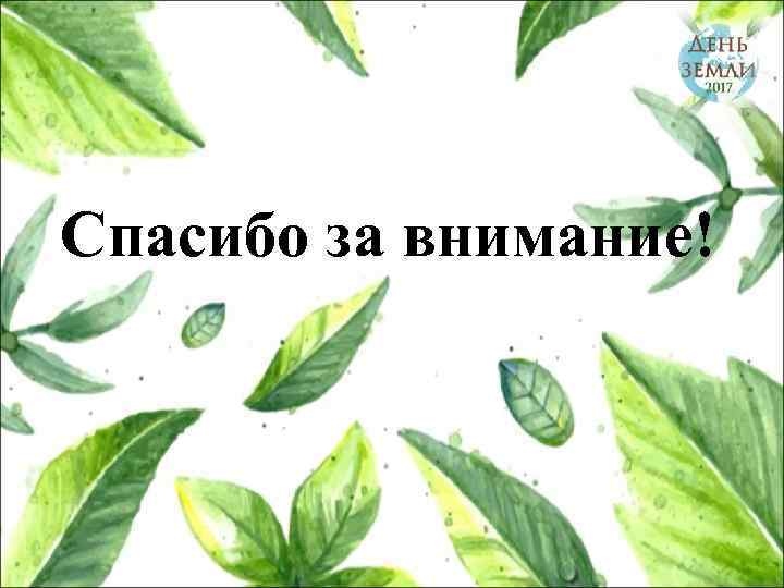 Спасибо за внимание! 