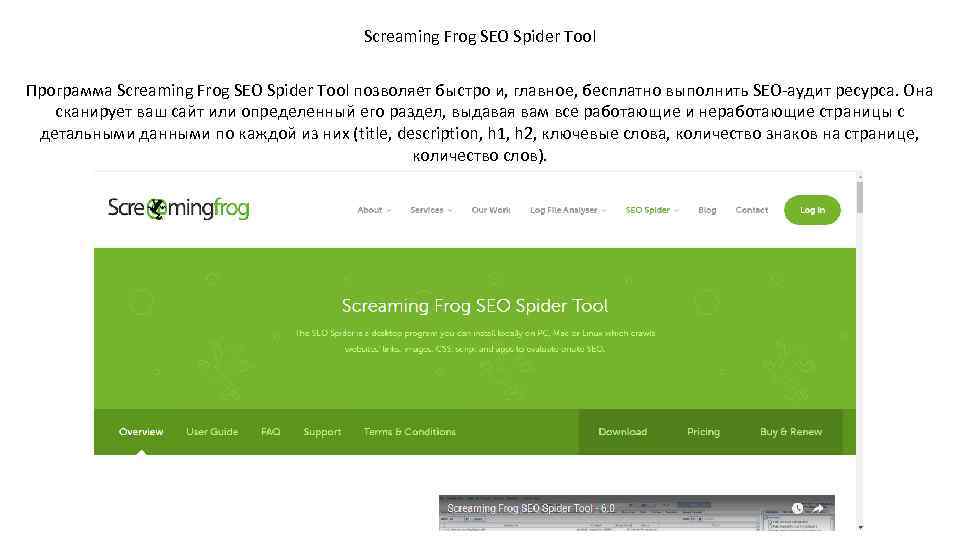 Screaming Frog SEO Spider Tool Программа Screaming Frog SEO Spider Tool позволяет быстро и,