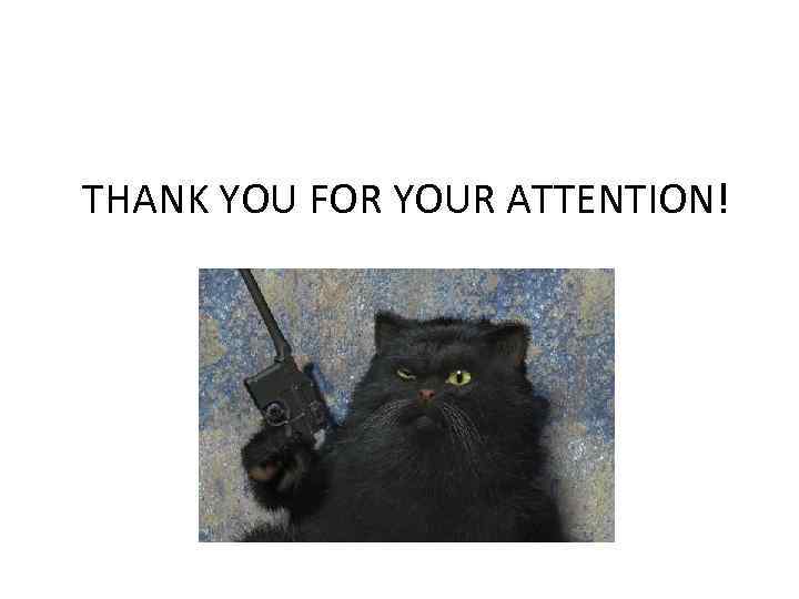 THANK YOU FOR YOUR ATTENTION! 