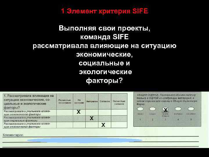 1 Элемент критерия SIFE Выполняя свои проекты, команда SIFE рассматривала влияющие на ситуацию экономические,