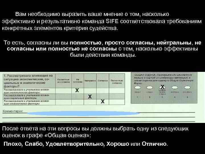 Вам необходимо выразить ваше мнение о том, насколько эффективно и результативно команда SIFE соответствовала