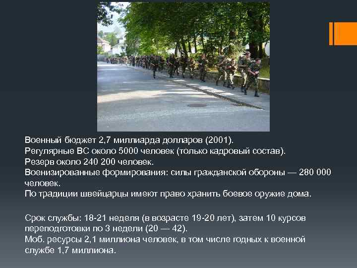 Военный бюджет 2, 7 миллиарда долларов (2001). Регулярные ВС около 5000 человек (только кадровый