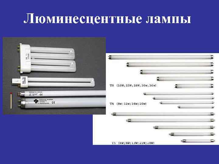 Люминесцентные лампы 