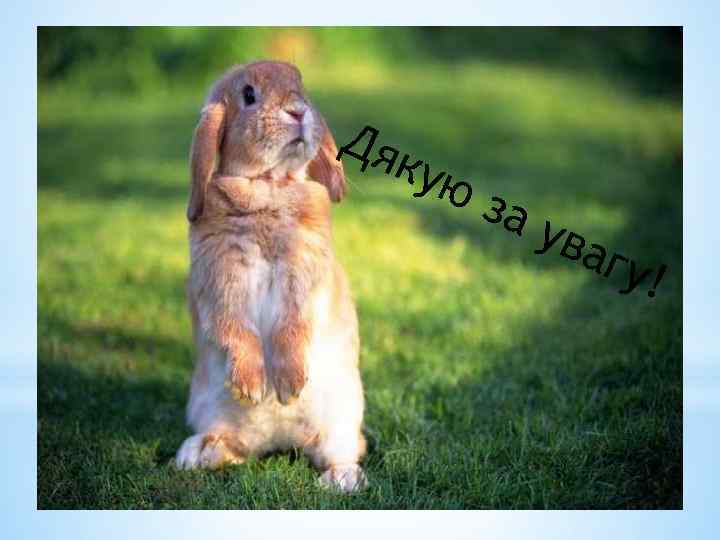 Дя ку юз ау ваг у! 