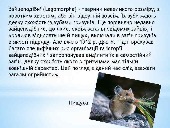 Зайцеподібні (Lagomorpha) - тварини невеликого розміру, з коротким хвостом, або він відсутній зовсім. Їх