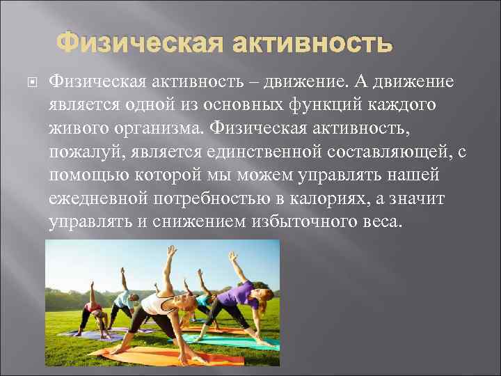 Физическая активность – движение. А движение является одной из основных функций каждого живого организма.