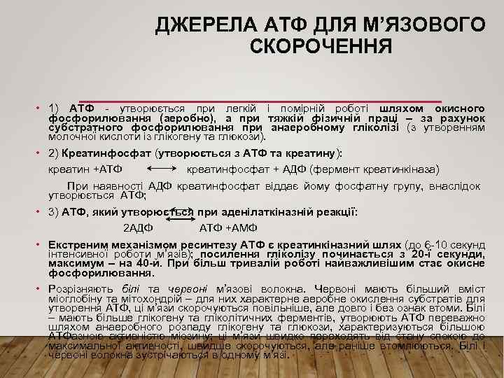 ДЖЕРЕЛА АТФ ДЛЯ М’ЯЗОВОГО СКОРОЧЕННЯ • 1) АТФ - утворюється при легкій і помірній