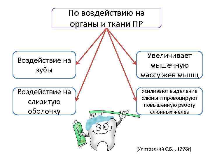 По воздействию на органы и ткани ПР Воздействие на зубы Увеличивает мышечную массу жев