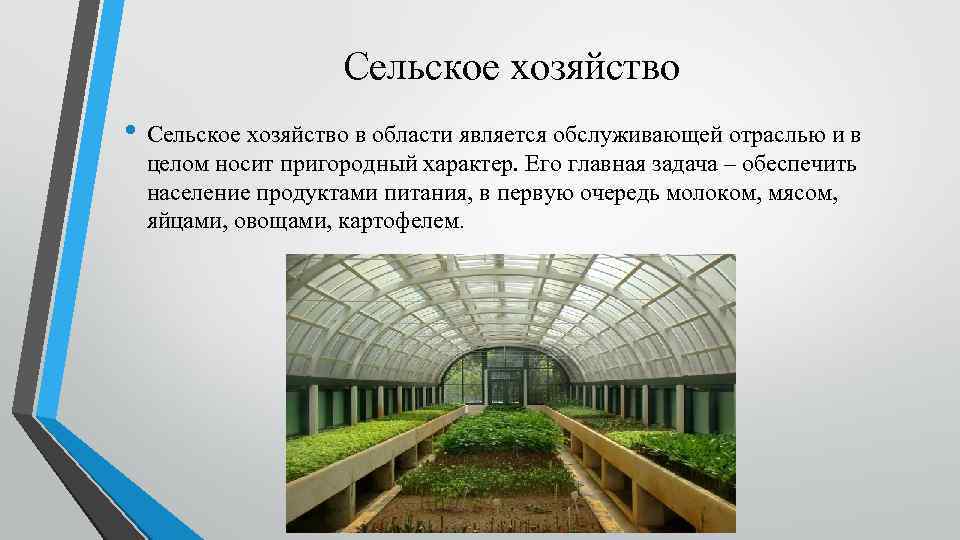 Сельское хозяйство • Сельское хозяйство в области является обслуживающей отраслью и в целом носит