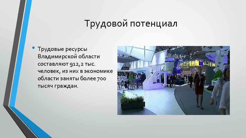 Трудовой потенциал • Трудовые ресурсы Владимирской области составляют 912, 2 тыс. человек, из них