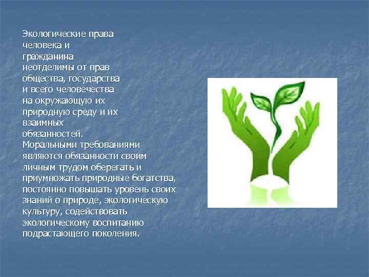 Экологические права человека и гражданина неотделимы от прав общества, государства и всего человечества на