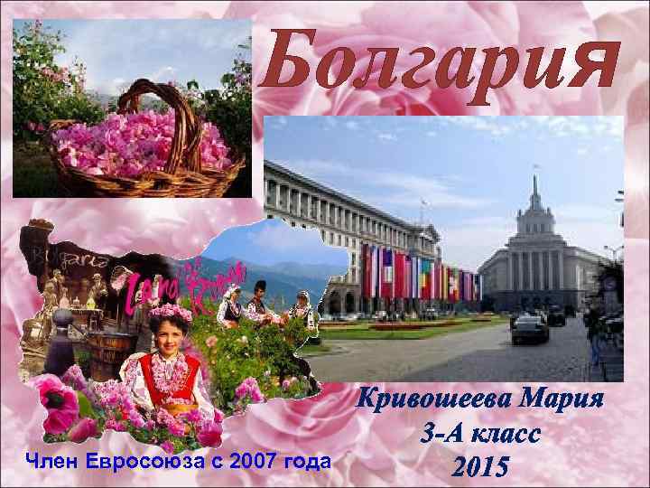 Болгария Член Евросоюза с 2007 года Кривошеева Мария 3 -А класс 2015 