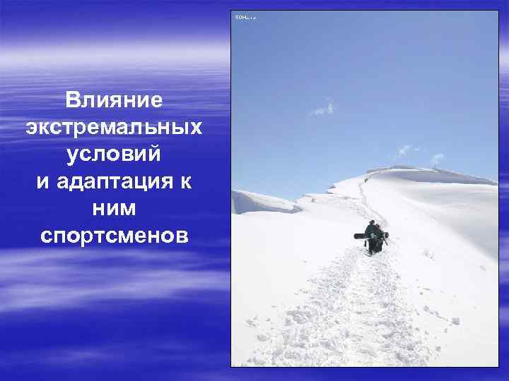 Влияние экстремальных условий и адаптация к ним спортсменов 