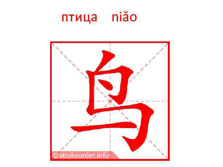 птица niǎo 