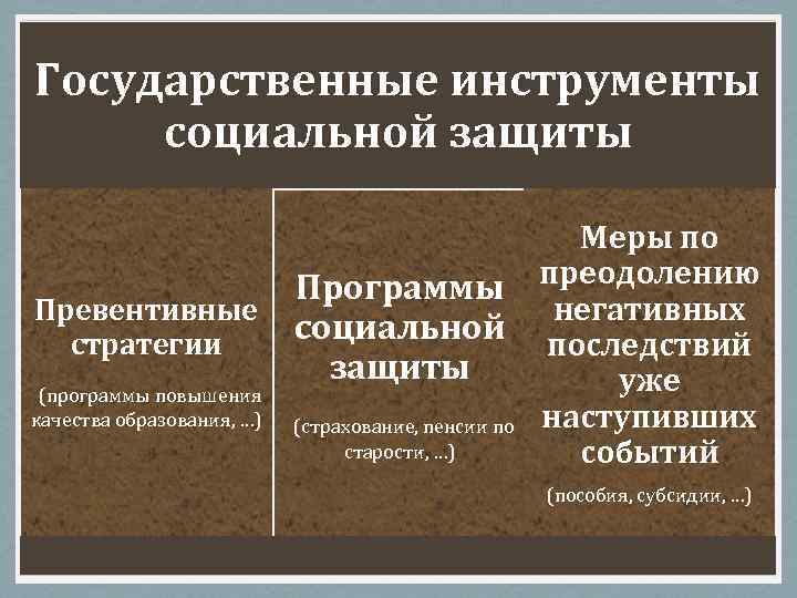 Государственные инструменты социальной защиты Программы Превентивные социальной стратегии защиты (программы повышения качества образования, …)