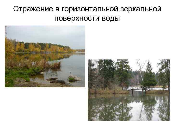 Отражение в горизонтальной зеркальной поверхности воды 