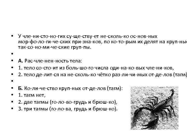  • У чле ни сто но гих су ще ству ет не сколь