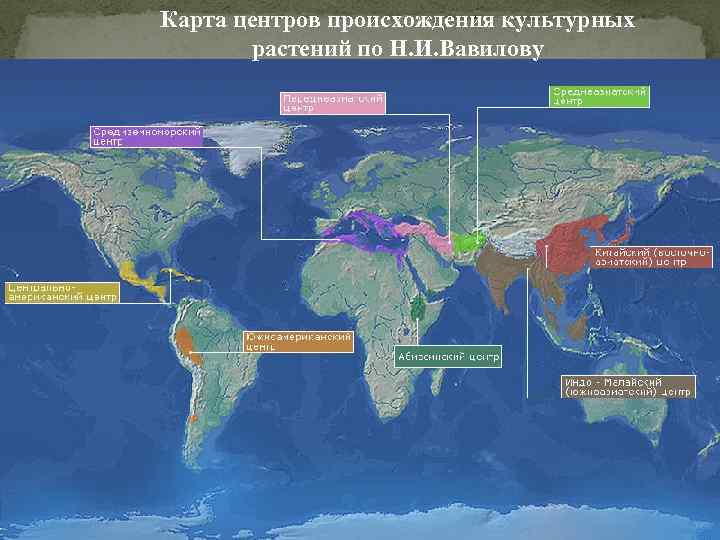 Карта центров происхождения культурных растений по Н. И. Вавилову 