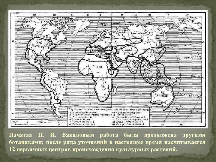 Начатая Н. И. Вавиловым работа была продолжена другими ботаниками; после ряда уточнений в настоящее