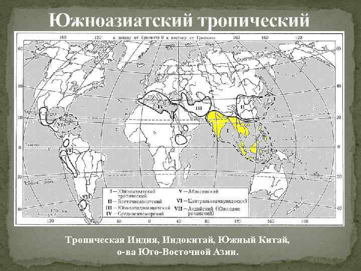 Южноазиатский тропический Тропическая Индия, Индокитай, Южный Китай, о-ва Юго-Восточной Азии. 