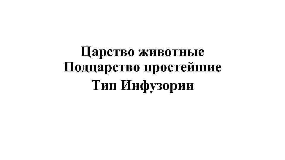 Царство животные Подцарство простейшие Тип Инфузории 