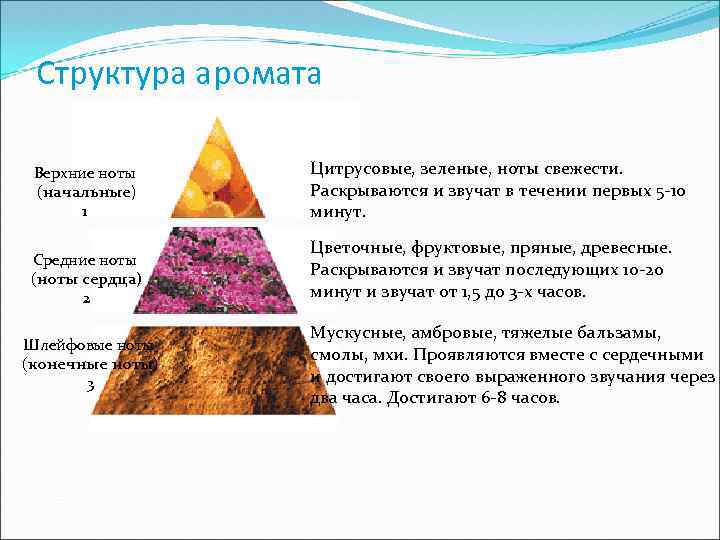 Структура аромата Верхние ноты (начальные) 1 Цитрусовые, зеленые, ноты свежести. Раскрываются и звучат в