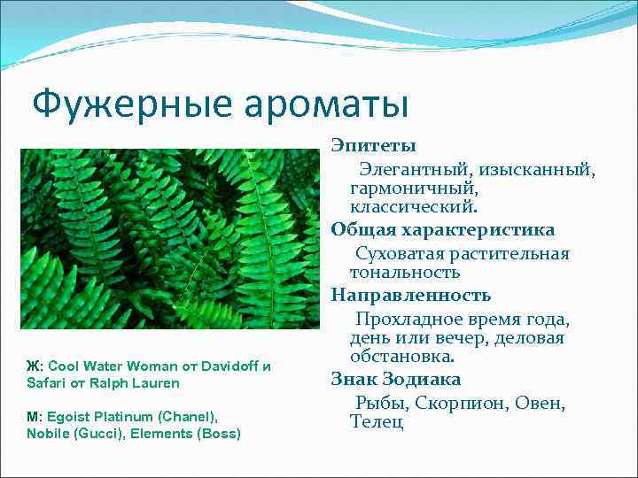 Фужерные ароматы Ж: Cool Water Woman от Davidoff и Safari от Ralph Lauren М: