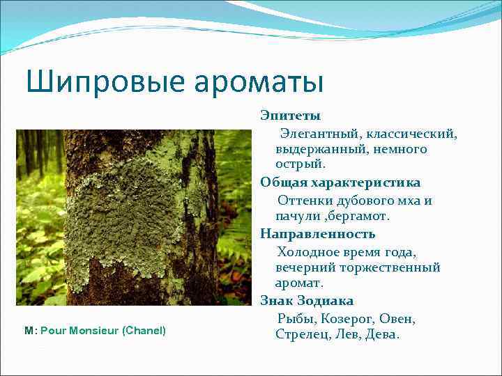 Шипровые ароматы М: Pour Monsieur (Chanel) Эпитеты Элегантный, классический, выдержанный, немного острый. Общая характеристика