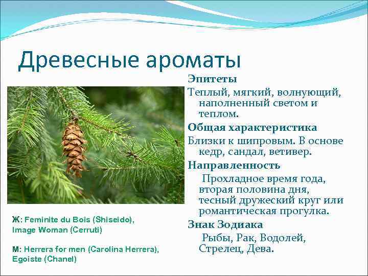 Древесные ароматы Ж: Feminite du Bois (Shiseido), Image Woman (Cerruti) М: Herrera for men