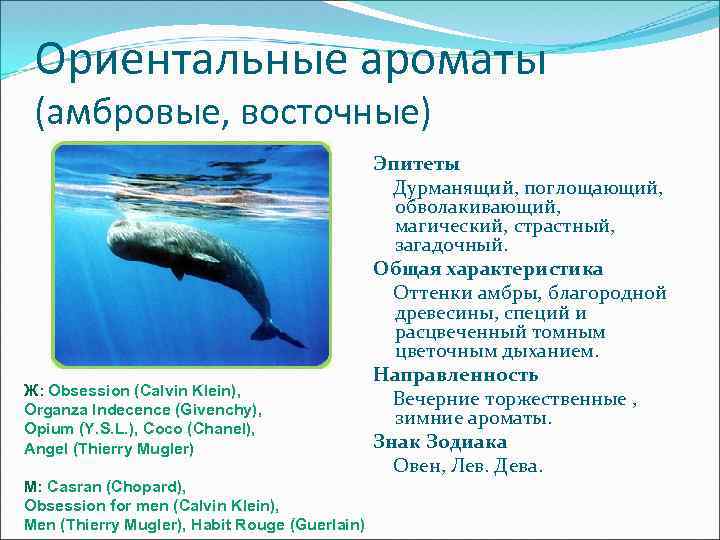 Ориентальные ароматы (амбровые, восточные) Ж: Obsession (Calvin Klein), Organza Indecence (Givenchy), Opium (Y. S.