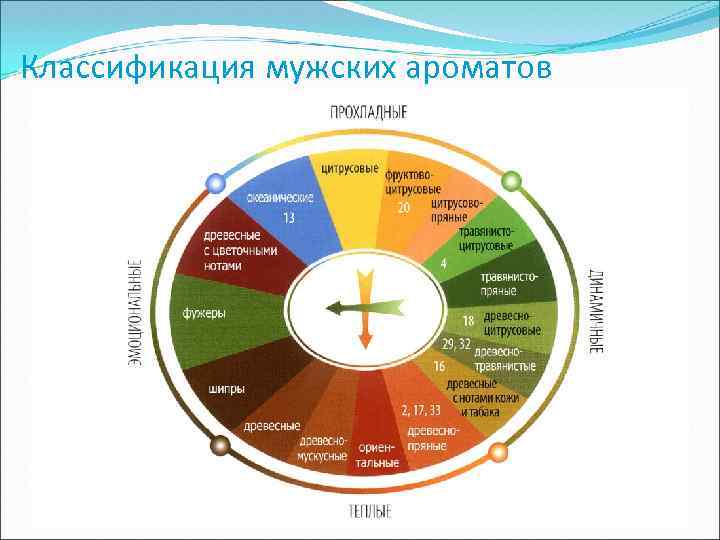 Классификация мужских ароматов 