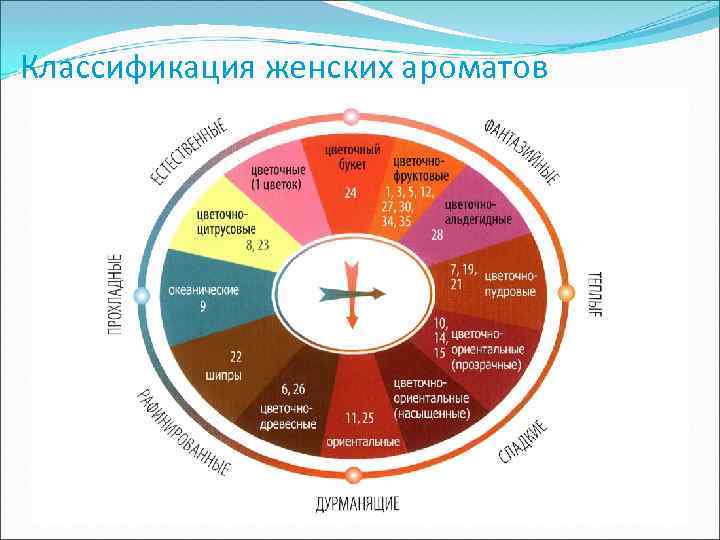 Виды ароматов