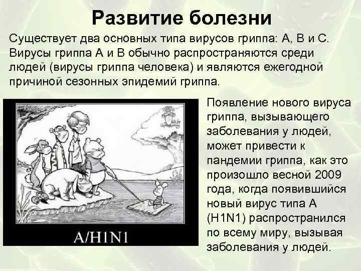 Развитие болезни Существует два основных типа вирусов гриппа: А, В и С. Вирусы гриппа