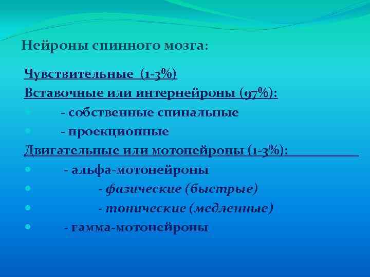 Нейроны спинного мозга: Чувствительные (1 -3%) Вставочные или интернейроны (97%): - собственные спинальные -