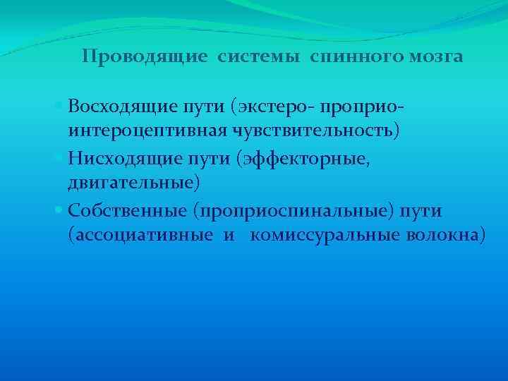 Проводящие системы спинного мозга Восходящие пути (экстеро- проприоинтероцептивная чувствительность) Нисходящие пути (эффекторные, двигательные) Собственные