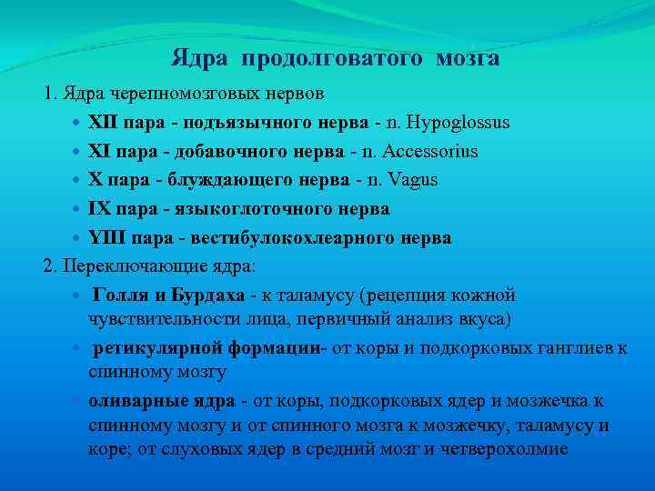 Ядра продолговатого мозга 1. Ядра черепномозговых нервов XII пара - подъязычного нерва - n.