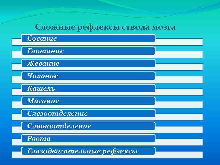 Сложные рефлексы ствола мозга Сосание Глотание Жевание Чихание Кашель Мигание Слезоотделение Слюноотделение Рвота Глазодвигательные