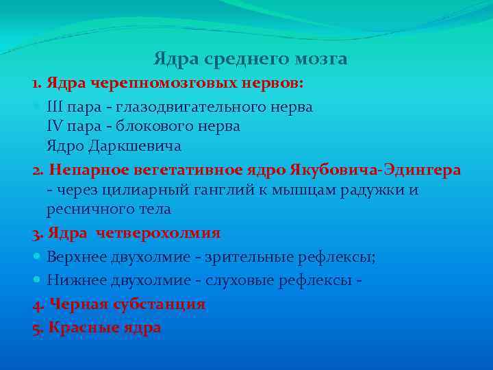 Ядра среднего мозга 1. Ядра черепномозговых нервов: III пара - глазодвигательного нерва IV пара